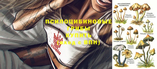 тгк Мегион