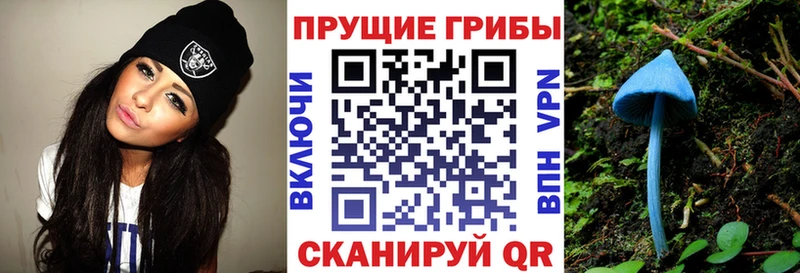 как найти наркотики  Уржум  Галлюциногенные грибы прущие грибы 